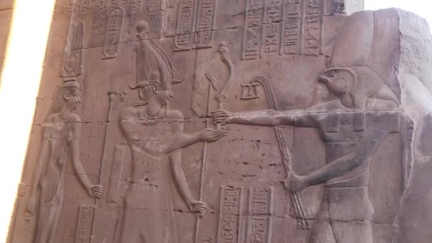 Sobek Reliëf Bij Tempel Van Kom Ombo Egypte — Stockvideo