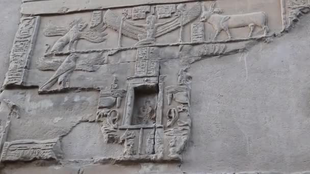Sobek Relief Tempel Von Kom Ombo Ägypten — Stockvideo