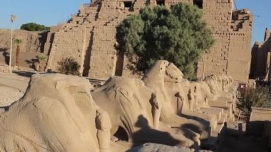 Koç başlı Sfenksleri ve Mısır 'daki Karnak Tapınağı' nda Nefertari 'nin küçük figürü.  