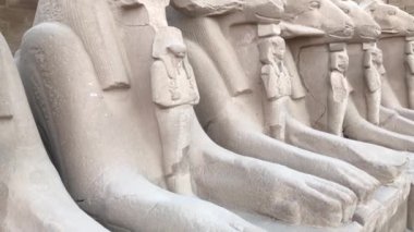 Koç başlı Sfenksleri ve Mısır 'daki Karnak Tapınağı' nda Nefertari 'nin küçük figürü.  