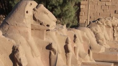Mısır 'daki Karnak Tapınağı' nın Giriş Sütunları.