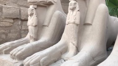 Koç başlı Sfenksleri ve Mısır 'daki Karnak Tapınağı' nda Nefertari 'nin küçük figürü.  