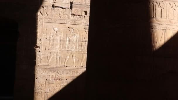 Relieffer Væggene Edfu Templet Egypten – Stock-video