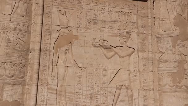이집트 의벽에 돋을새김 — 비디오
