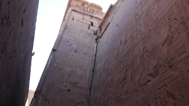 埃及埃德福寺墙壁上的浮雕 — 图库视频影像
