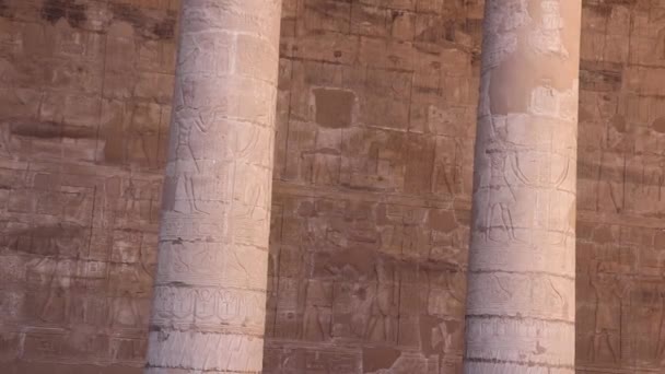 Ναός Του Έντφου Ναός Του Ώρου Αίγυπτος — Αρχείο Βίντεο