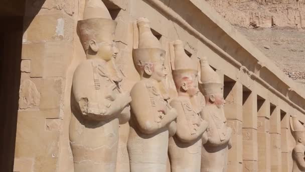 Posągi Ozyrysa Świątyni Kostnicy Hatszepsut — Wideo stockowe