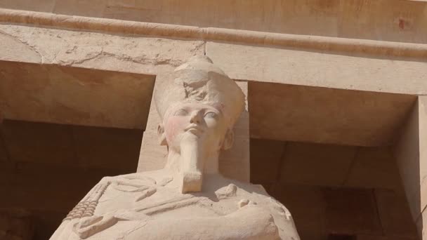 Osiris Heykelleri Hatshepsut Morg Tapınağı — Stok video