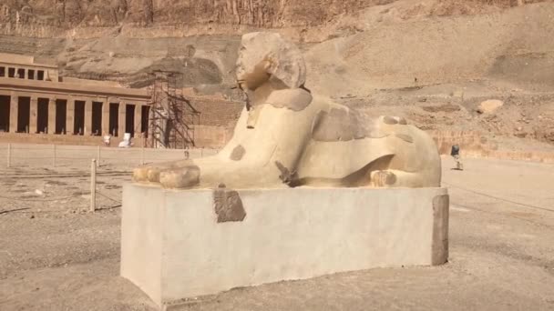 Tempel Der Königin Hatschepsut Ein Totentempel Des Alten Ägypten — Stockvideo