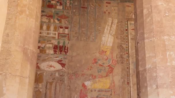 Alívio Templo Mortuário Hatshepsut Egito — Vídeo de Stock
