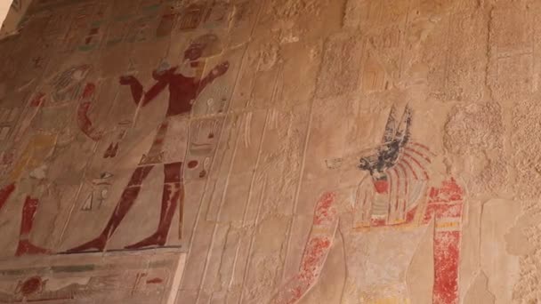 Храм Цариці Хатшепсут Похоронного Храму Стародавнього Єгипту — стокове відео