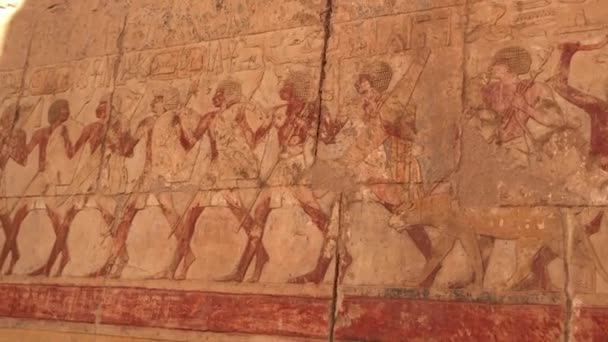 Úleva Márnice Chrámu Hatshepsut Egyptě — Stock video