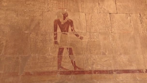 Relief Dari Kuil Makam Hatshepsut Mesir — Stok Video
