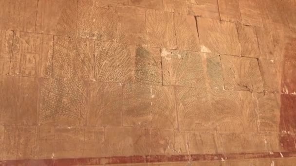 Alivio Del Templo Mortuorio Hatshepsut Egipto — Vídeo de stock
