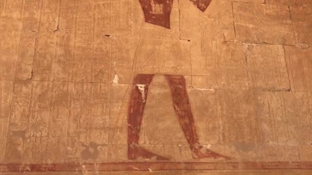 エジプトのハトシェプストの霊廟からの救済 — ストック動画