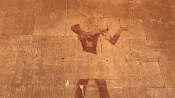 Alivio Del Templo Mortuorio Hatshepsut Egipto — Vídeo de stock