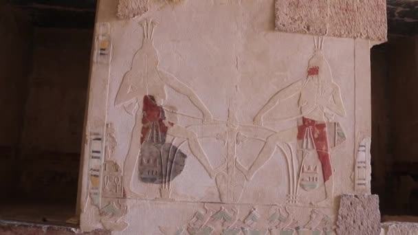 Relief Mortuary Temple Hatshepsut Egypt — Stock Video