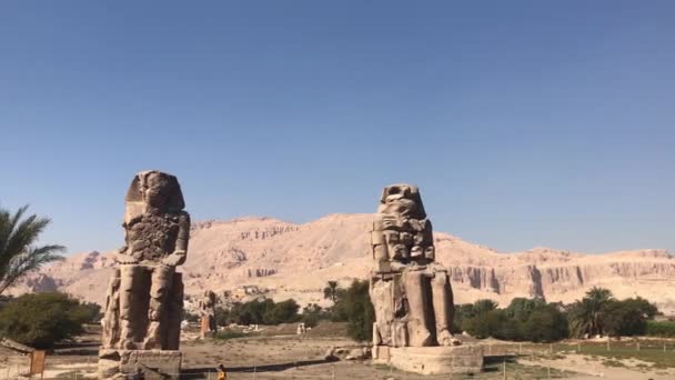 Két Nagy Ültetett Kőszobor Memnon Kolosszusok Egyiptom — Stock videók