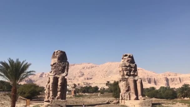 Deux Grandes Statues Pierre Assise Colosses Memnon Egypte — Video