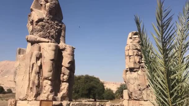 조각상 이집트 멤논의 — 비디오