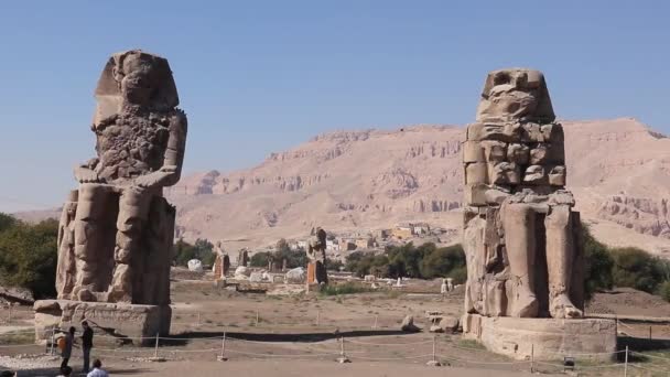 Δύο Μεγάλα Καθισμένα Πέτρινα Αγάλματα Κολοσσοί Του Μέμνονα Αίγυπτος — Αρχείο Βίντεο