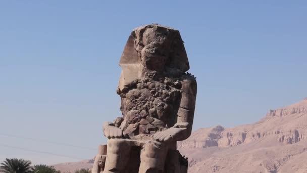 Due Grandi Statue Pietra Sedute Colossi Memnone Egitto — Video Stock
