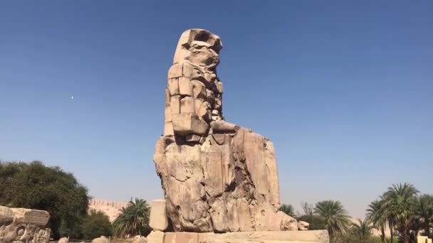 Büyük Taş Heykel Memnon Mısır Dan Colossi — Stok video