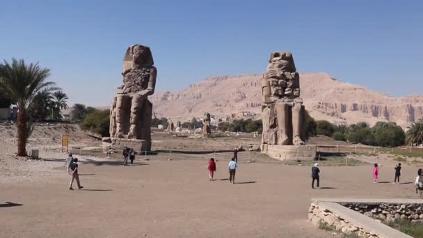 Due Grandi Statue Pietra Sedute Colossi Memnone Egitto — Video Stock