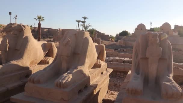 Entrance Pylon Karnak Temple Egypt — Stock video