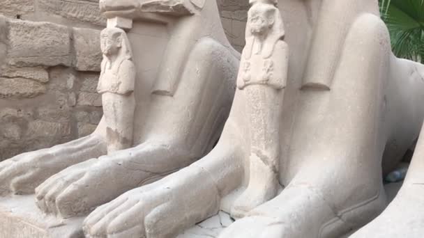 Ram Head Sfingy Malá Postavička Nefertari Chrámu Karnak Egypt — Stock video