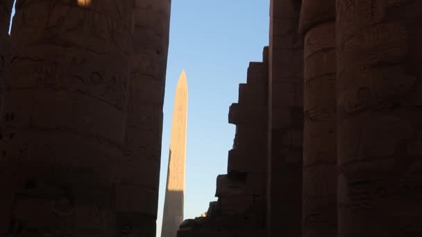 Хатшепсуц Стоит Обелиске Храме Карнак Египет — стоковое видео