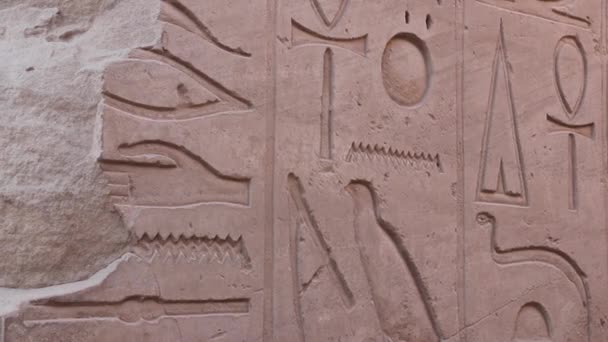 Great Festival Temple Thutmose Iii Karnak Temple Egypt — Stock Video