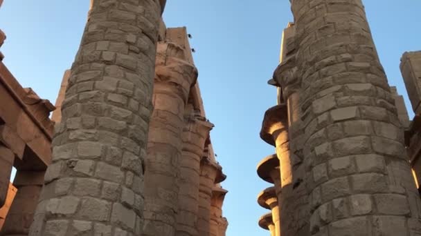 Die Große Hypostilhalle Karnak Tempel Ägypten — Stockvideo