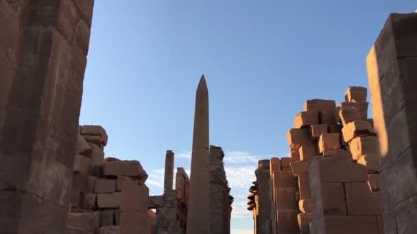 Μεγάλη Αίθουσα Υποστύλων Ναός Καρνάκ Αίγυπτος — Αρχείο Βίντεο