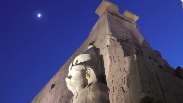 Statue Ramses Luxor Temple Egypt — Stock Video