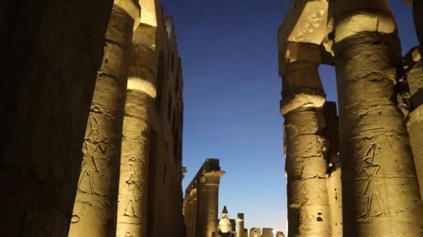 Luxor Tapınağında Gece Antik Mısır Tapınak Kompleksi — Stok video
