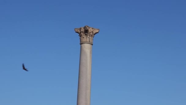 埃及亚历山大港庞培石柱遗址考古遗址 — 图库视频影像
