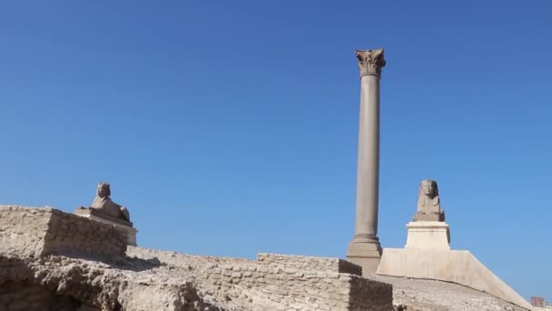 Site Archéologique Des Ruines Pilier Pompéi Alexandrie Égypte — Video
