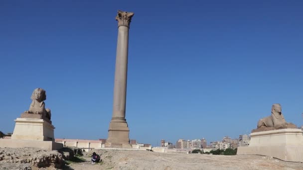 Obok Kolumny Monolitycznej Stoi Rzymska Kopia Sfinksa Filara Pompejusza Aleksandria — Wideo stockowe
