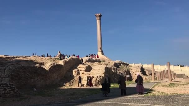 이집트 알렉산드리아에 폼페이 필라의 폐허에 고고학적 — 비디오