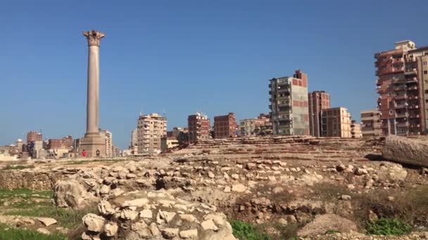 埃及亚历山大港庞培石柱遗址考古遗址 — 图库视频影像