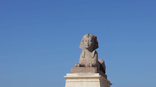 除了石碑柱外 还有埃及亚历山大港庞培柱狮身人面像的罗马复制品 — 图库视频影像