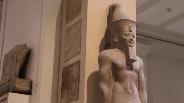 Oud Egyptisch Standbeeld Het Egyptisch Museum — Stockvideo