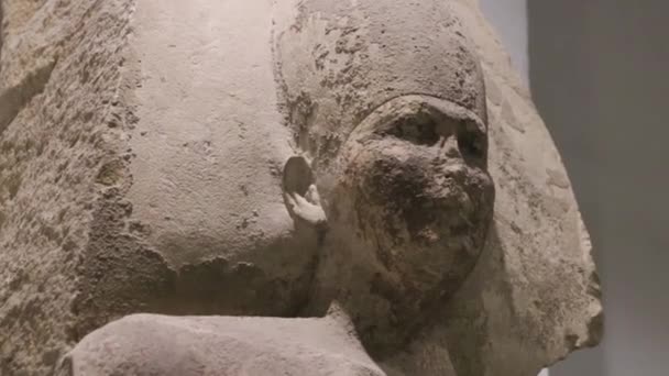 Altägyptische Statue Ägyptischen Museum — Stockvideo