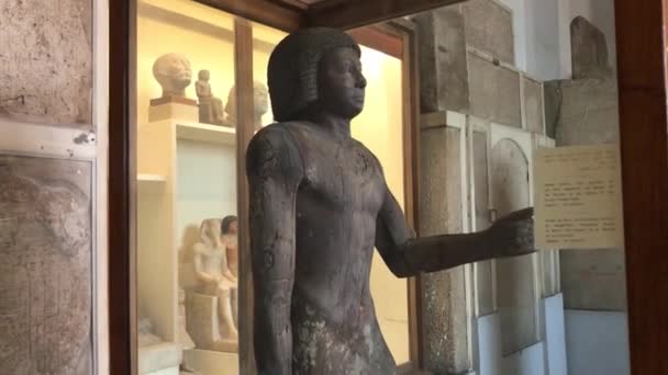 Starożytny Egipski Posąg Muzeum Egipskim — Wideo stockowe