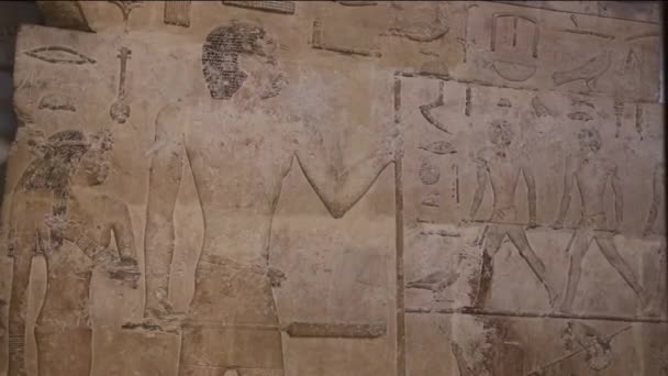 Ancient Egyptian Relief Egyptian Museum — Stock Video