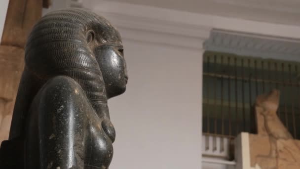 Kraliçe Nofret Oturmuş Heykeli Kahire Deki Mısır Müzesi — Stok video