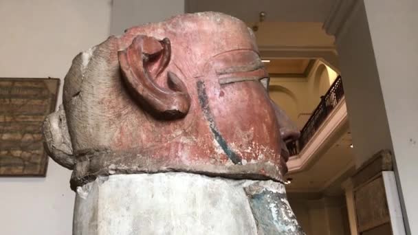 Hatsepszut Szakállas Szobor Egyiptomi Múzeum Kairóban — Stock videók