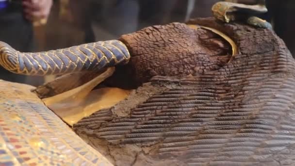 Outermost Coffin Tutankhamon Museo Egipcio Cairo — Vídeo de stock