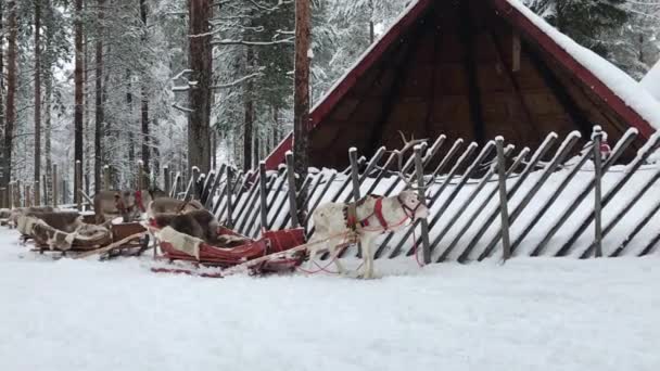 Деревня Санта Клауса Рованиеми Финляндия — стоковое видео